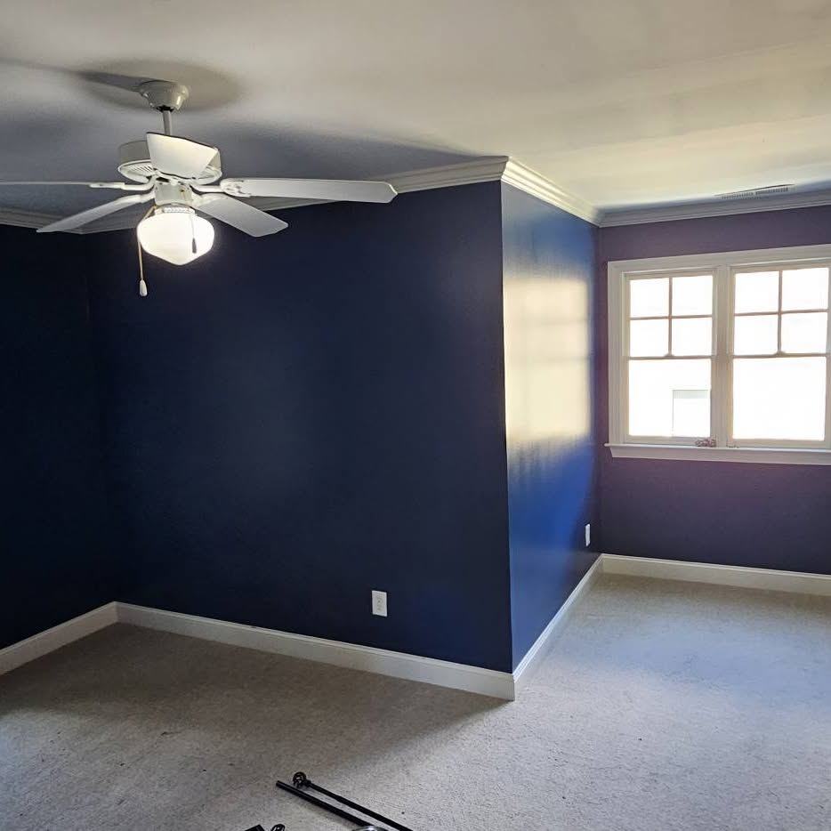 Project by Paint Renovations